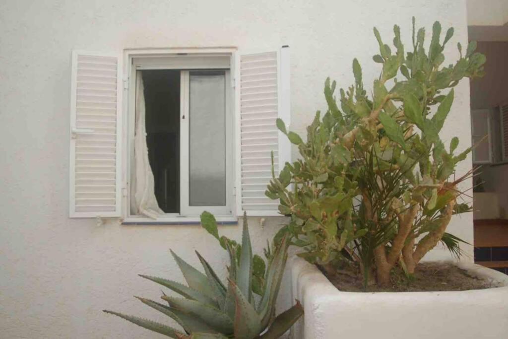 Apartamento A 2 Minutos Andando A La Playa. La Isleta del Moro Bagian luar foto